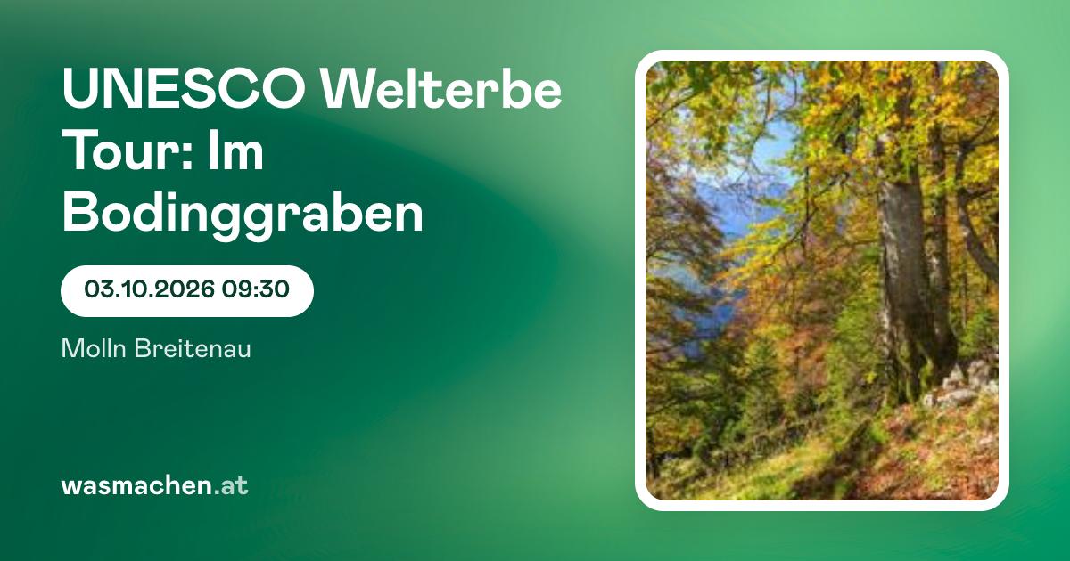 UNESCO Welterbe Tour: Im Bodinggraben | Molln | wasmachen